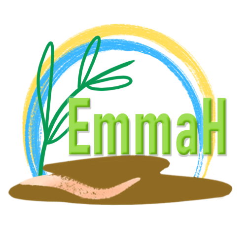 logo UMR EMMAH